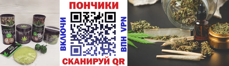 Cannafood конопля  Чернушка 