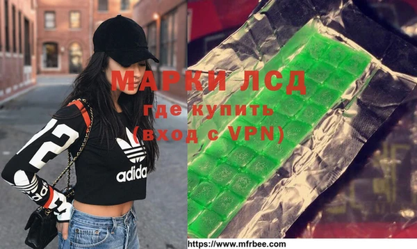 ПСИЛОЦИБИНОВЫЕ ГРИБЫ Верея