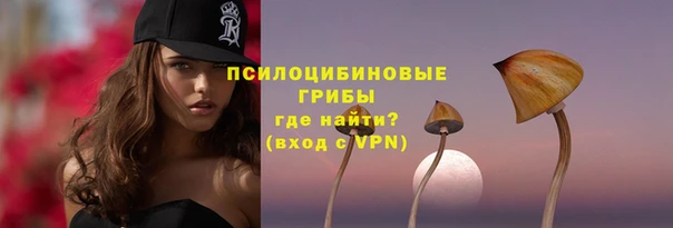 ПСИЛОЦИБИНОВЫЕ ГРИБЫ Верея