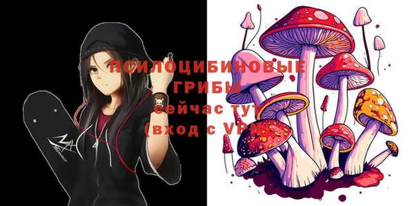 ПСИЛОЦИБИНОВЫЕ ГРИБЫ Верея