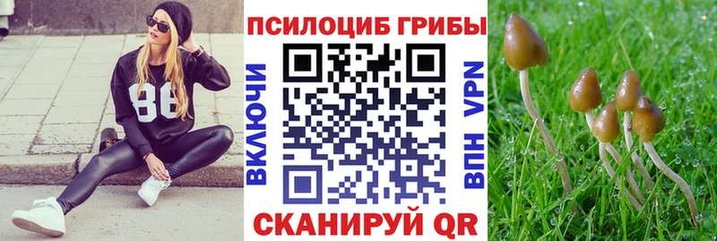 Псилоцибиновые грибы Cubensis  наркота  Чернушка 