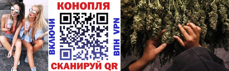 Шишки марихуана ГИДРОПОН  как найти наркотики  Чернушка 